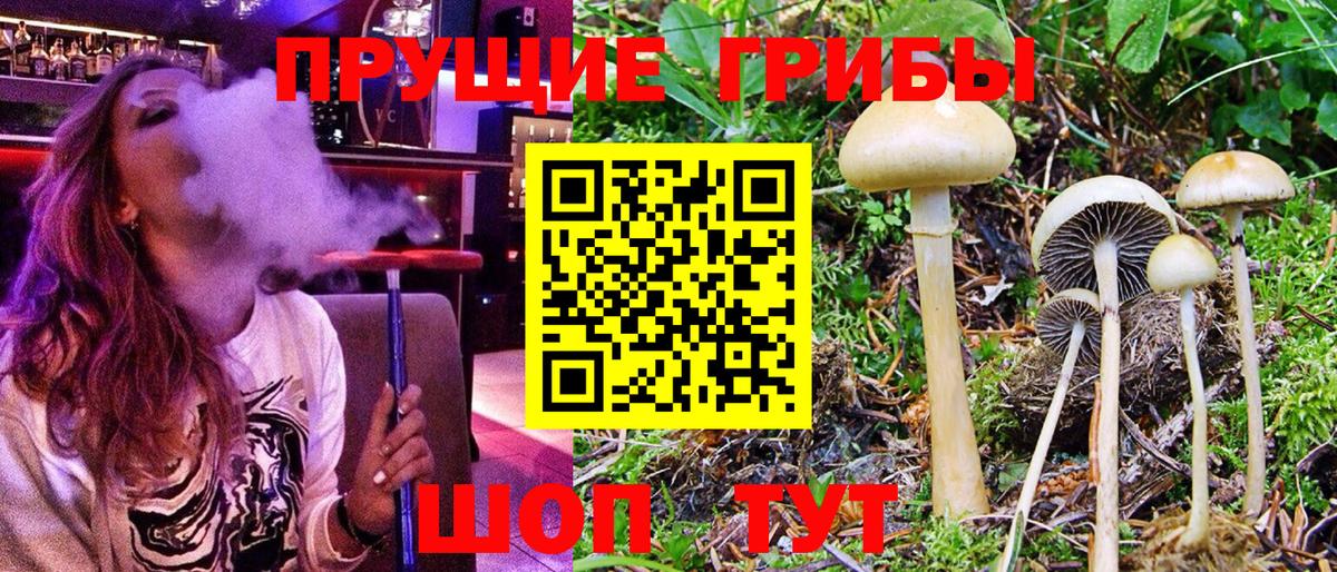 Галлюциногенные грибы Cubensis Нефтекамск