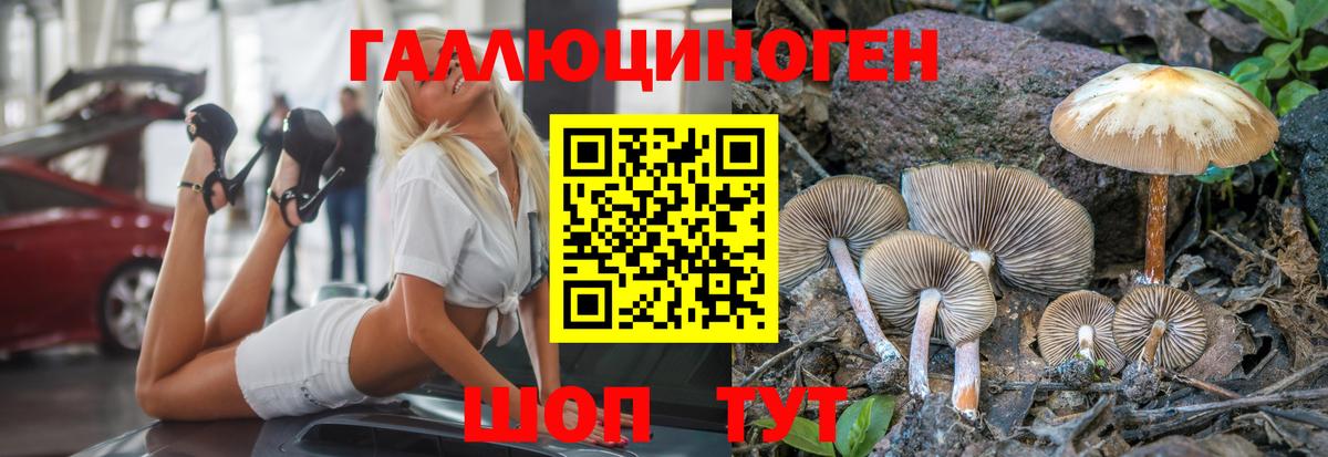 Нефтекамск  Псилоцибиновые грибы GOLDEN TEACHER  Галлюциногенные грибы MAGIC MUSHROOMS  где найти наркотики  Вход с VPN 